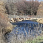 IMG_3909cropped