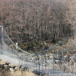 IMG_3911cropped
