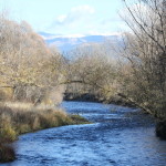 A walk along the banks of the Segre IMG_3912cropped
