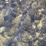 IMG_3913cropped