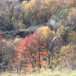 IMG_3932