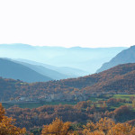IMG_4050