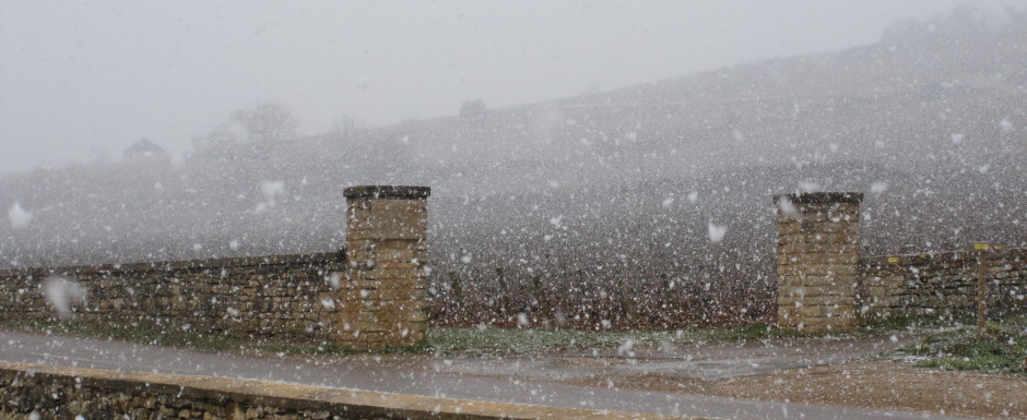 IMG_0111snowinmontrachet