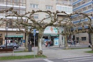IMG_8385lugofarmacia2w