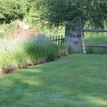 Els Picots veggie garden mid July 2016