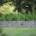 Els Picots veggie garden mid July 2016