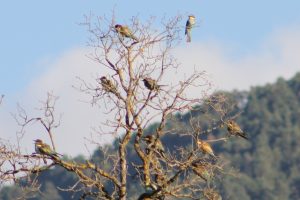 IMG_3004b