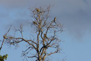 IMG_3010a