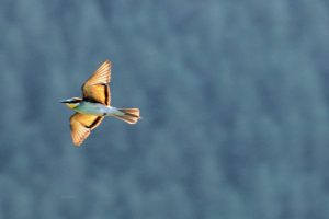IMG_3055a