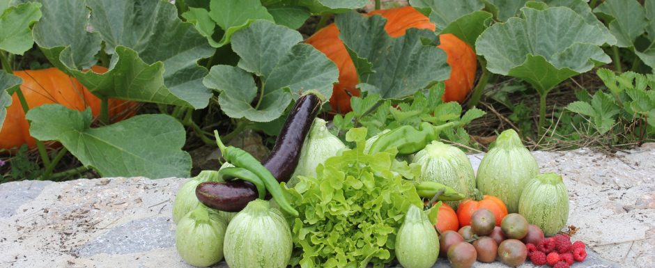 JJJ The gardens at Els Picots 2015