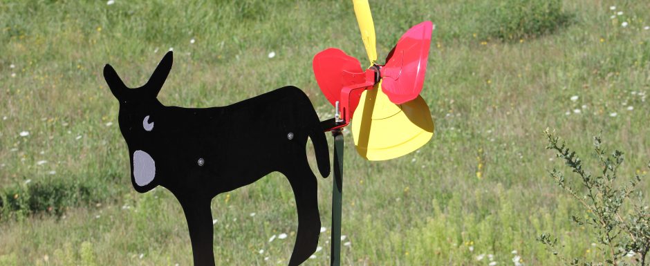 LLL The gardens at Els Picots 2015