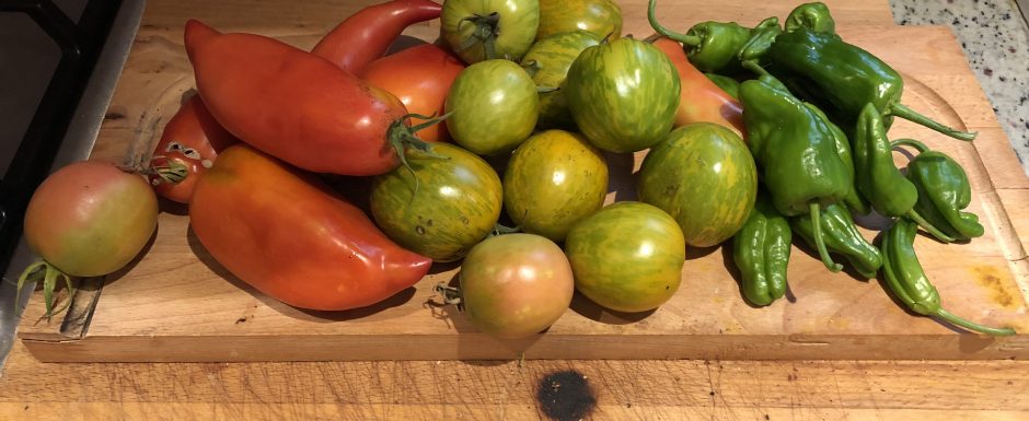 QQQ The gardens at Els Picots 2019
