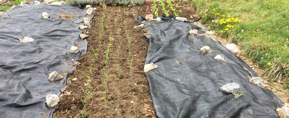 LLLD the gardens at els picots 2020