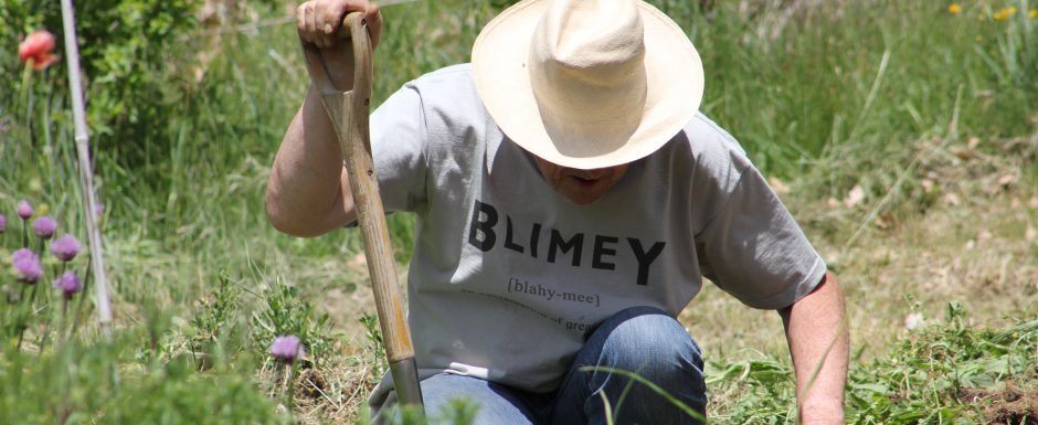 DDD the gardens at Els Picots 2016