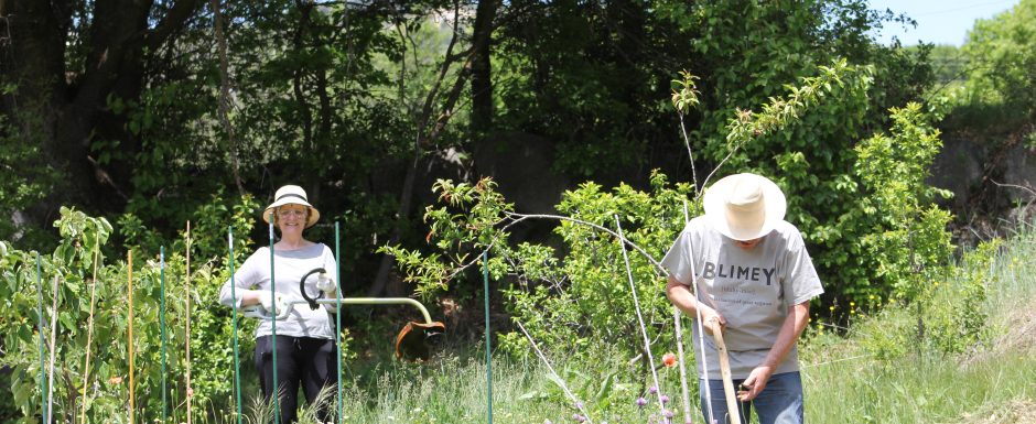 BBB the gardens at Els Picots 2016