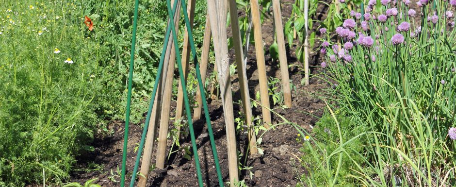III the gardens at Els Picots 2016