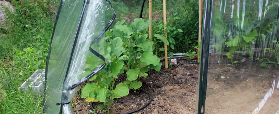 GGG the gardens at Els Picots 2016