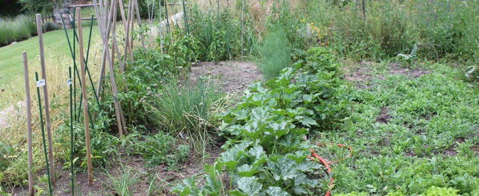 JJJ the gardens at Els Picots 2016