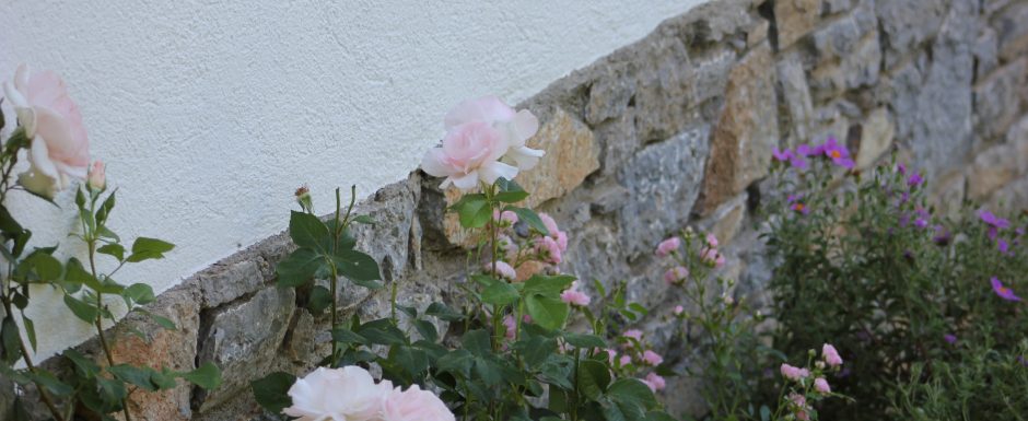 TTT the gardens at Els Picots 2016