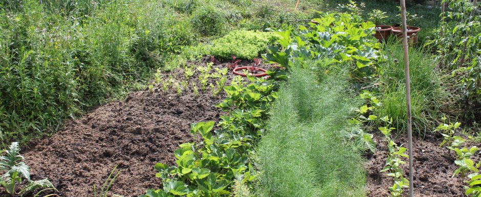 MMM the gardens at Els Picots 2016