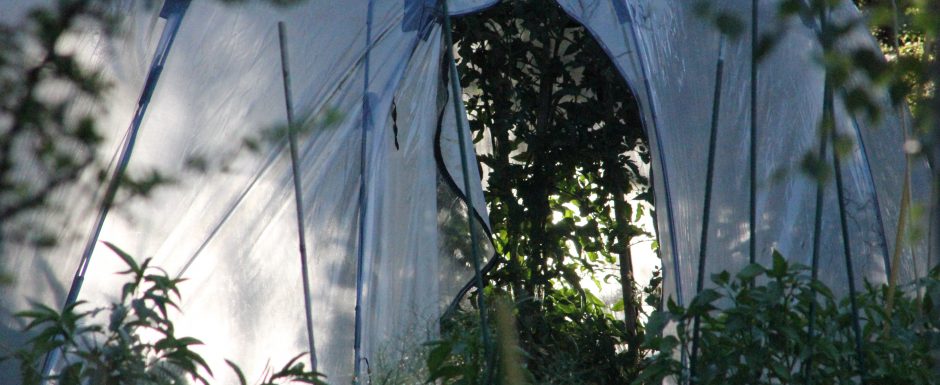 OOO the gardens at Els Picots 2016