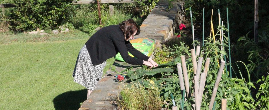 QQQ the gardens at Els Picots 2016