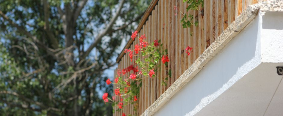 VVV the gardens at Els Picots 2016