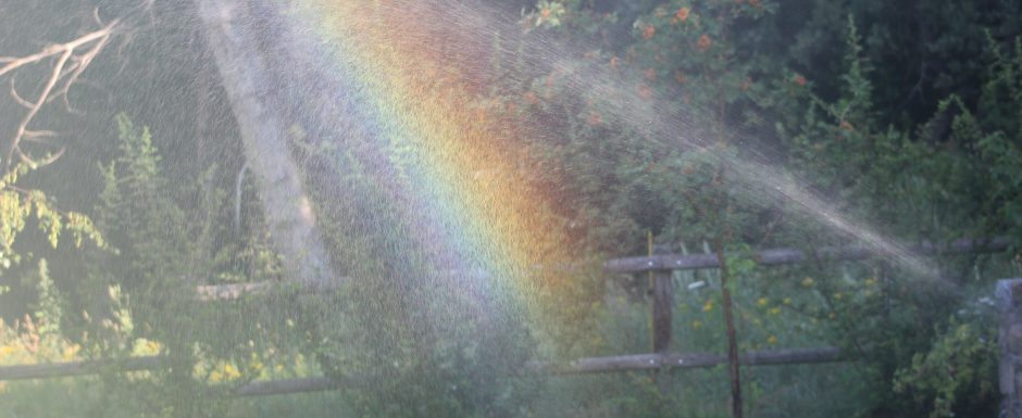 WWW the gardens at Els Picots 2016