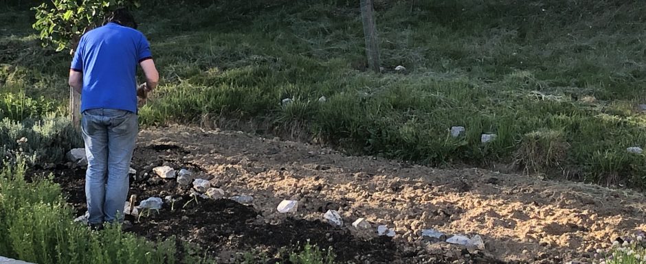 FFF the gardens at Els Picots 2019