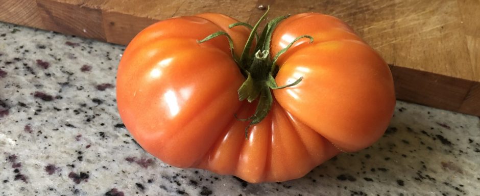 TTT the gardens at Els Picots 2019