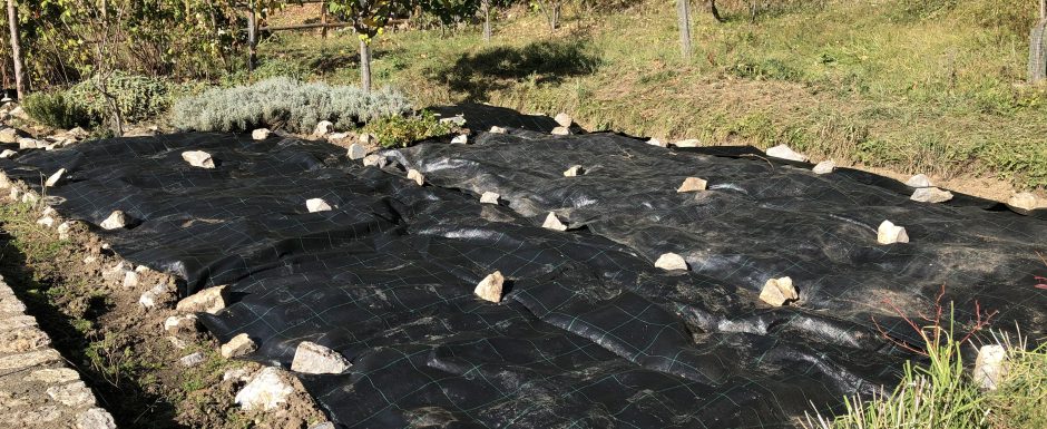 ZZZC the gardens at els picots 2019