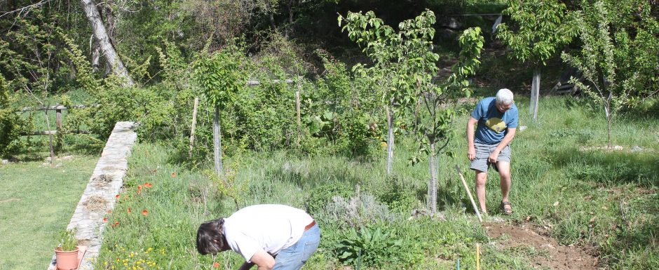 7 Digging the hort