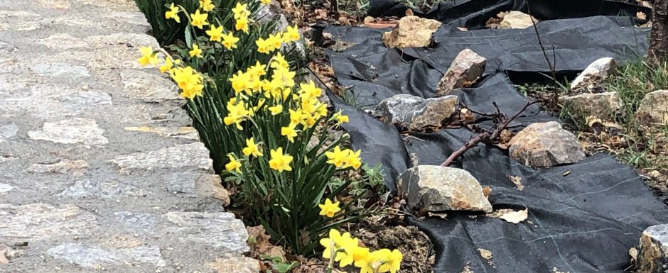 AAF the gardens at Els Picots 2020