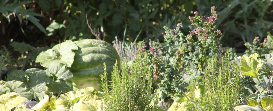 RRR the gardens at els picots 2017