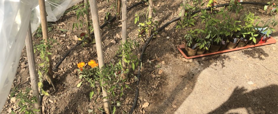 LLLH the gardens at els picots 2020