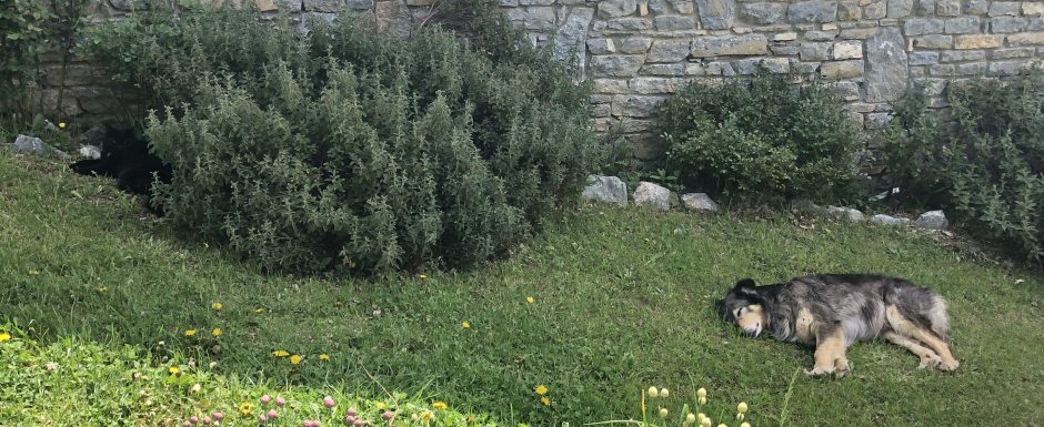 LLLI the gardens at els picots 2020