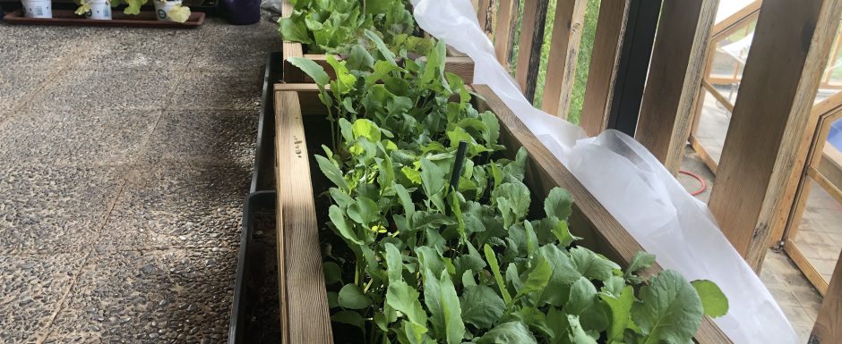 LLLK the gardens at els picots 2020