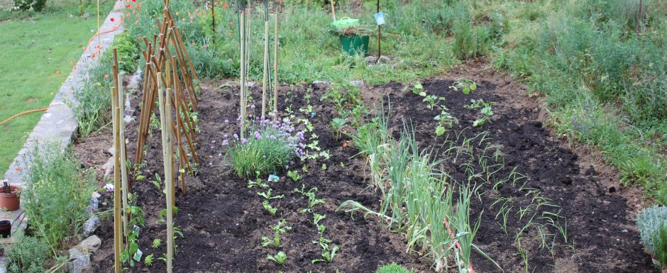 AAA The gardens at Els Picots 2015