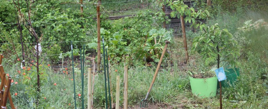 BBB The gardens at Els Picots 2015
