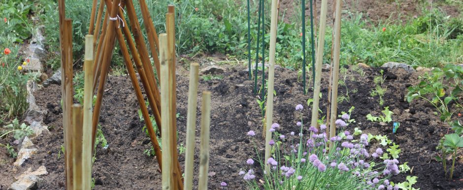 CCC The gardens at Els Picots 2015