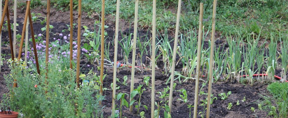 DDD The gardens at Els Picots 2015