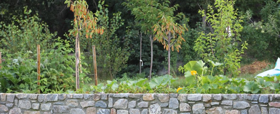 RRR the gardens at Els Picots 2016