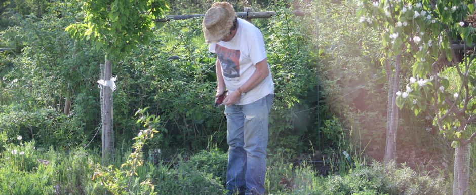 BBB The gardens at Els Picots 2018