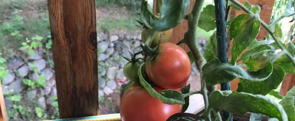 RRZC the gardens at els picots 2021