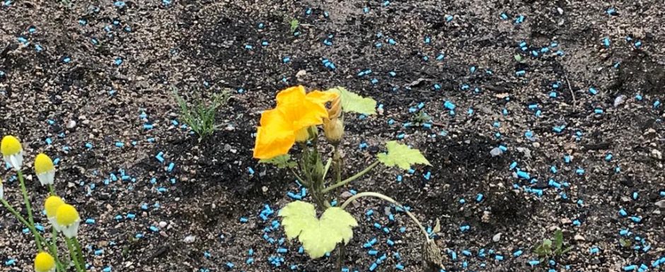 GGG the gardens at els picots 2021