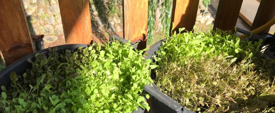 RRZB the gardens at els picots 2021