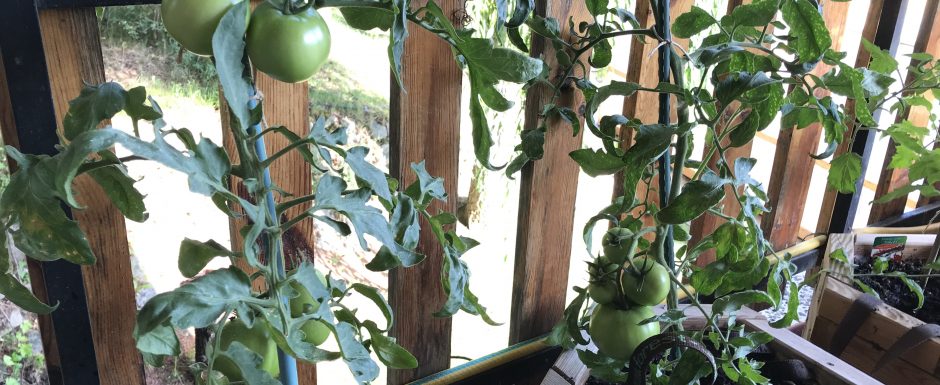 RRW the gardens at els picots 2021