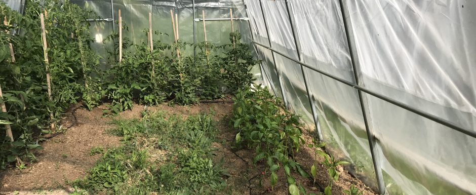 PPT the gardens at els picots 2021