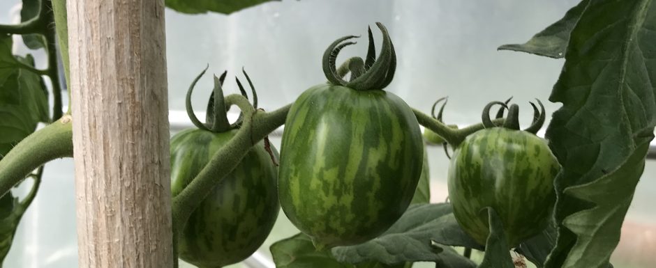 PPV the gardens at els picots 2021