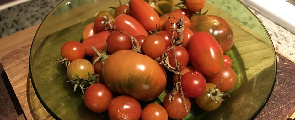 YYY The 2021 Harvest